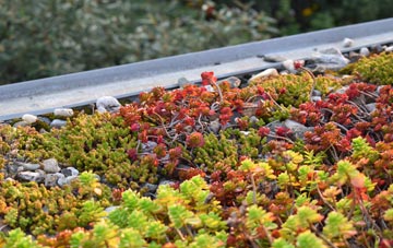 the cost of Bonar Bridge green roof installation