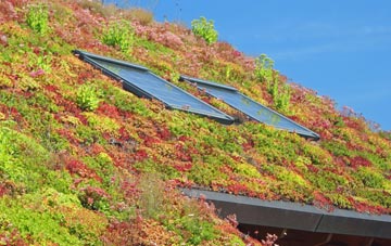 Bonar Bridge living roof systems